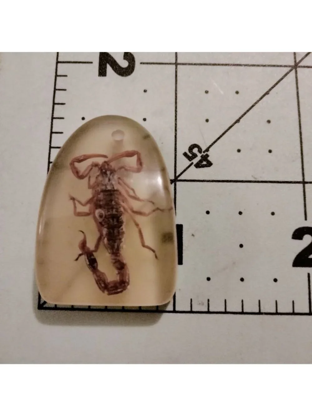 Real Scorpion Resin Pendant Charm Goth Cottagegore